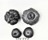 Click for 1 image(s) for this accession. FRUIT